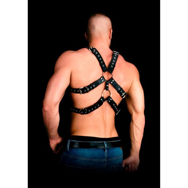 Andres Masterpiece Bonded Leather Harness One Size - Image 3