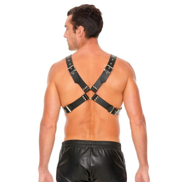 Leather Harness with Large Buckle One Size - Image 3